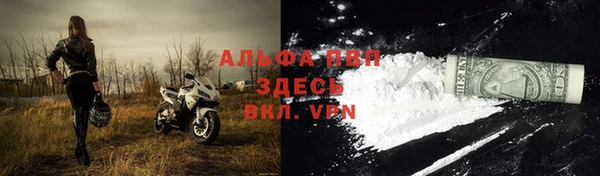 эйфоретик Бородино