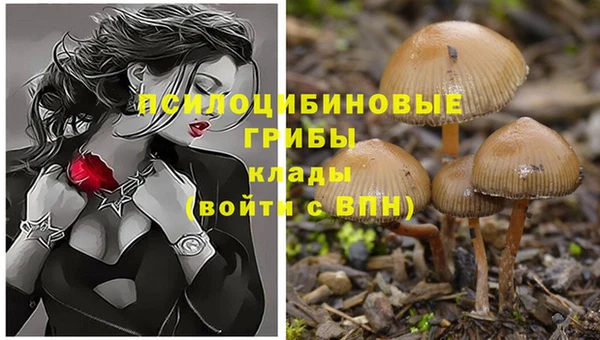 эйфоретик Бородино