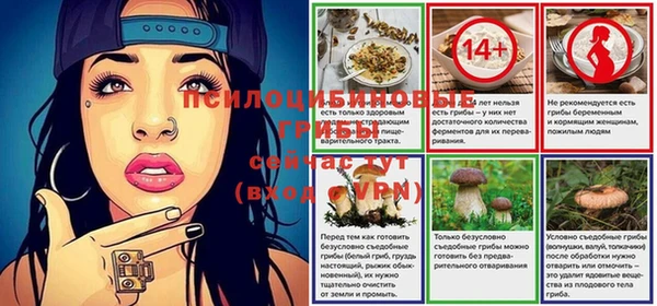 эйфоретик Бородино