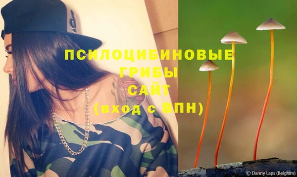эйфоретик Бородино